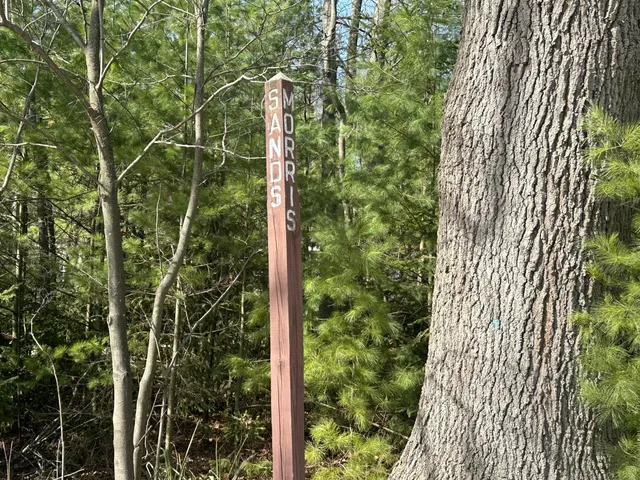 $250,000 | Sands Street, Pentwater, MI 49449