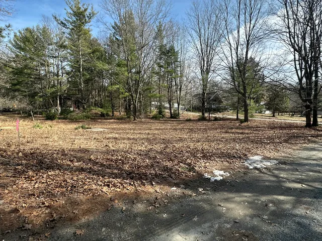 $250,000 | Sands Street, Pentwater, MI 49449