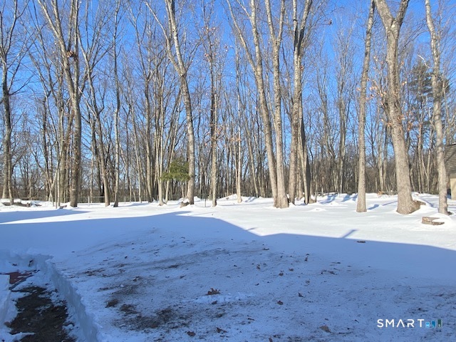 118 High Path Road, Unit 118 Windsor, CT 06095 - Photo 6 of 30