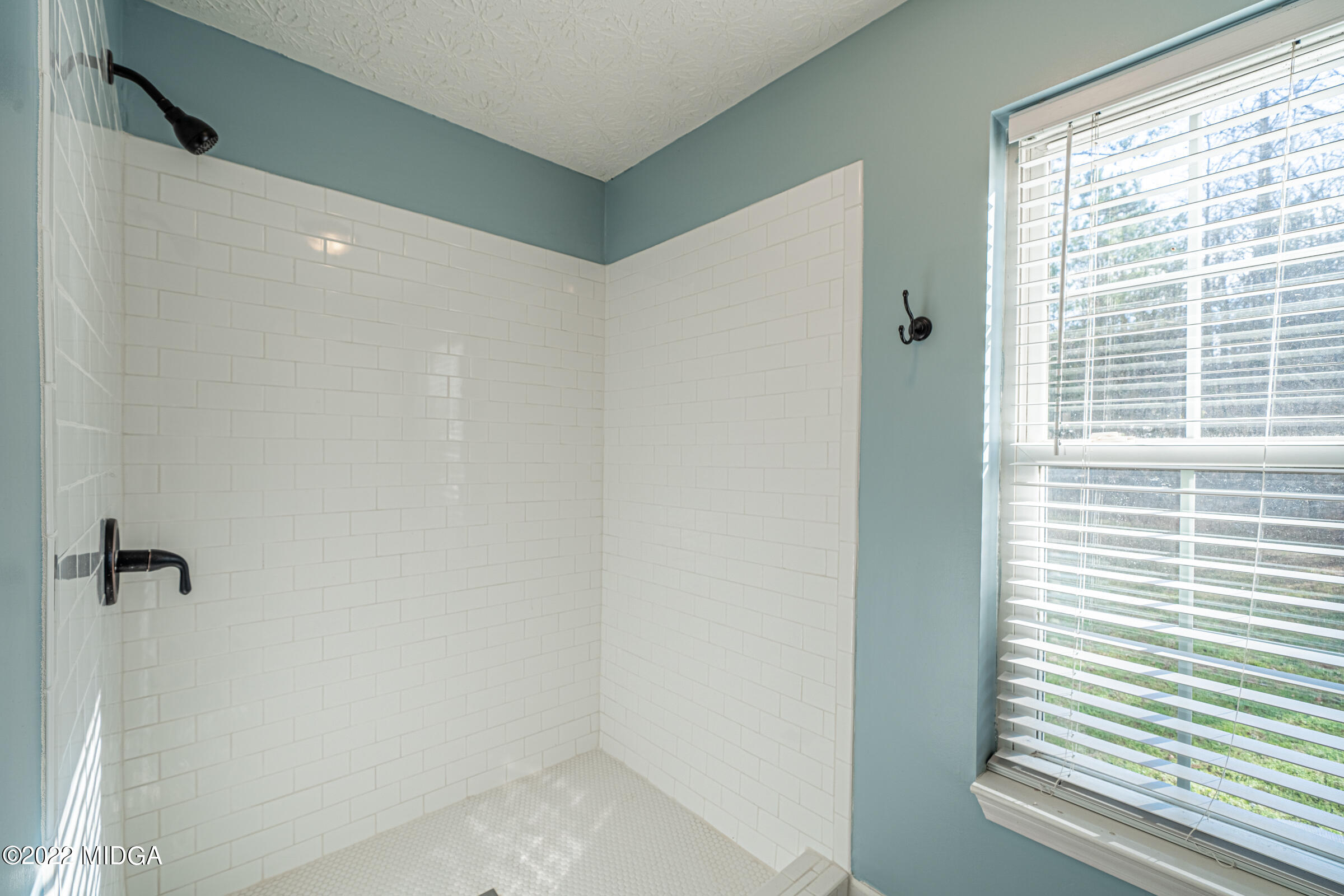 229 Howard Roberts Road Gray, GA 31032 - Photo 12 of 28 a bathroom with a shower and a window
