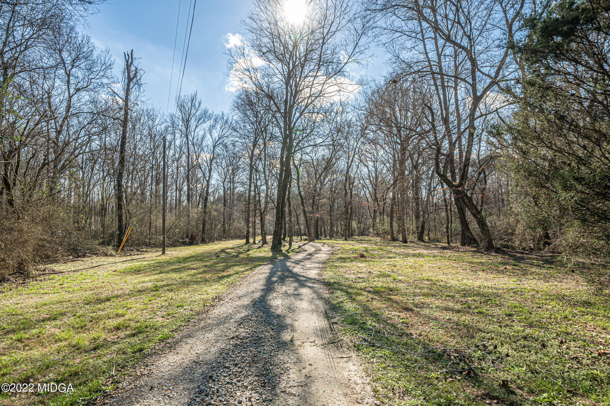 229 Howard Roberts Road Gray, GA 31032 - Photo 27 of 28 a view of a yard with trees