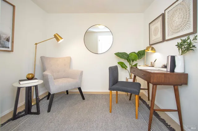 a living room with furniture and a potted plant