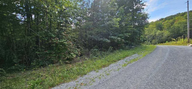 $35,000 | Lot 13 Bear Wallow Road, Dunlap, TN 37327