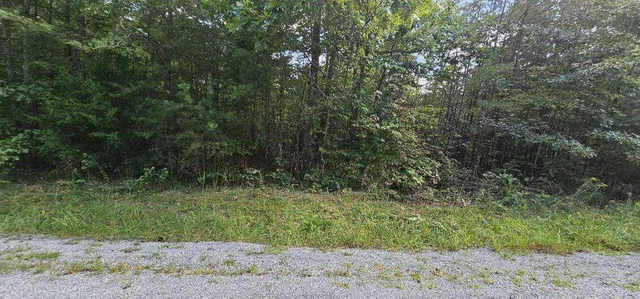 $35,000 | Lot 13 Bear Wallow Road, Dunlap, TN 37327