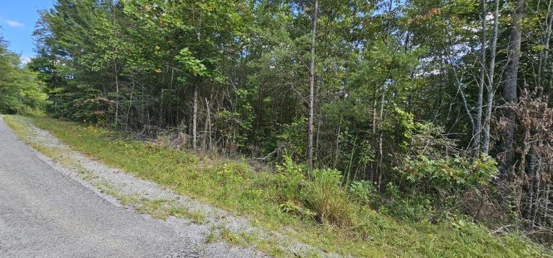 Lot 13 Bear Wallow Road Dunlap, TN 37327 - Photo 5 of 8 image000001