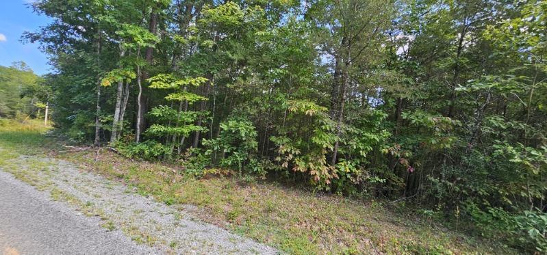 Lot 13 Bear Wallow Road Dunlap, TN 37327 - Photo 6 of 8 image000002