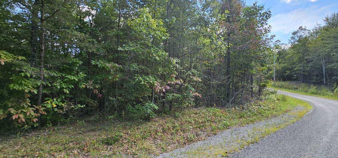 Lot 13 Bear Wallow Road Dunlap, TN 37327 - Photo 7 of 8 image000003