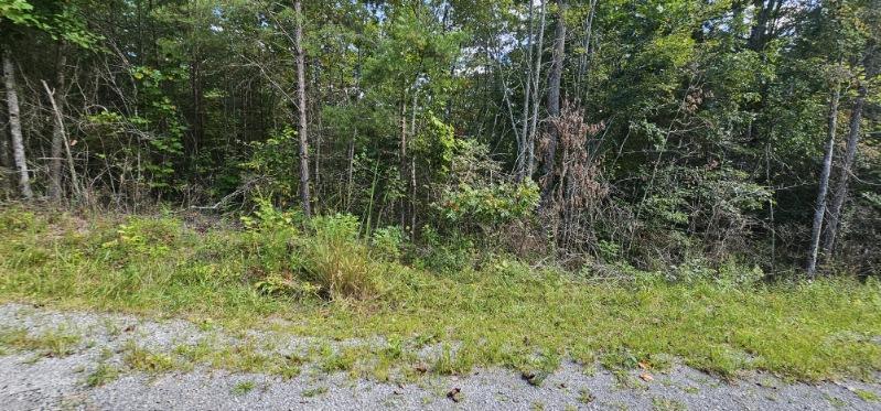 Lot 13 Bear Wallow Road Dunlap, TN 37327 - Photo 8 of 8 image000000