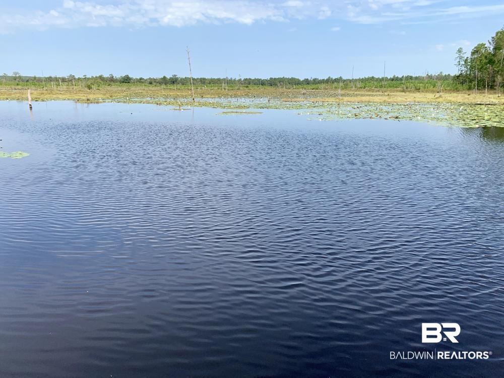 0 Country Road Mobile, AL 36608 - Photo 1 of 27