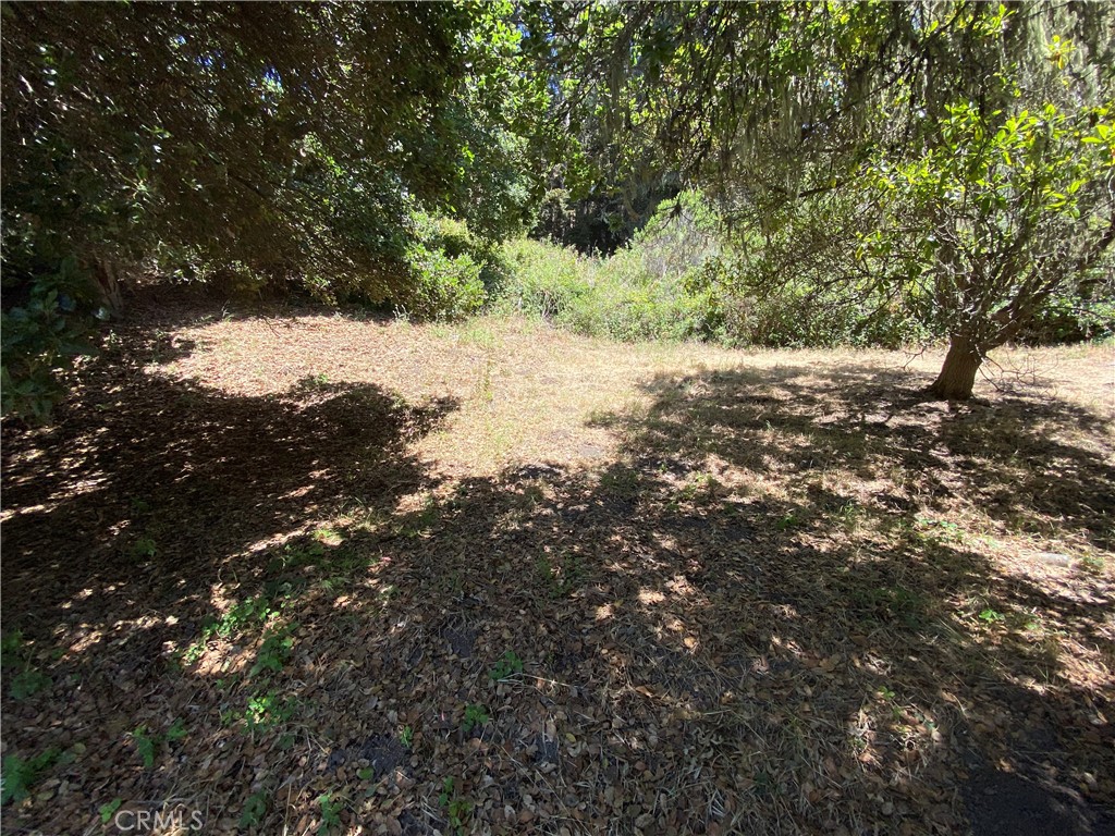 0 Kent Street Cambria, CA 93428 - Photo 3 of 8 a view of a tree with a yard