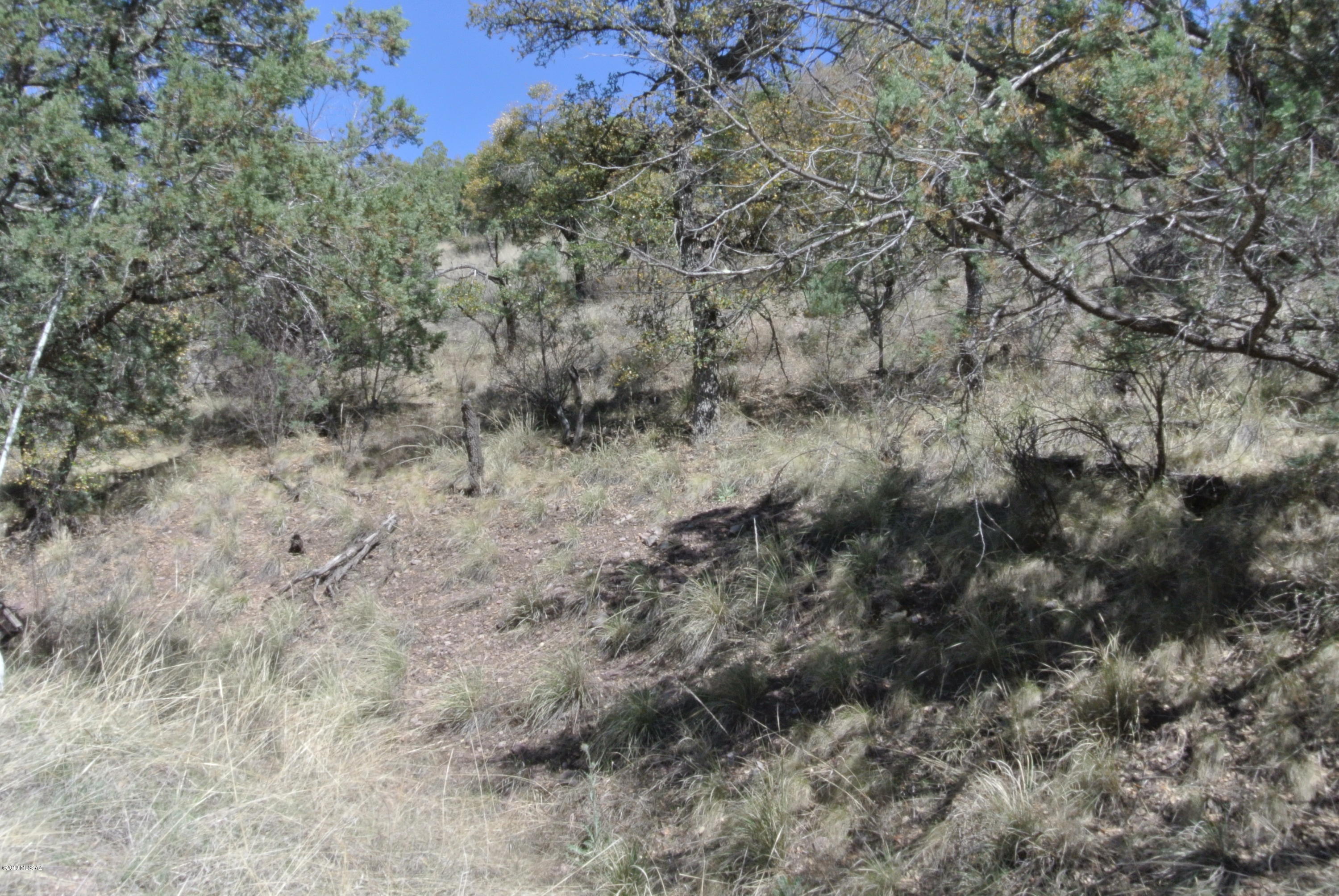 234 Lyle Canyon Road Elgin, AZ 85611 - Photo 24 of 37 Gallery Image 24