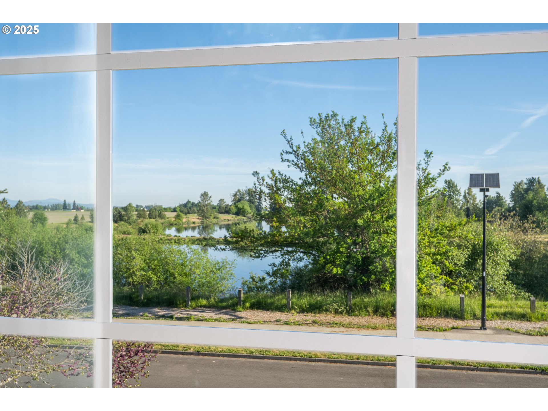 4756 Jessen Drive Eugene, OR 97402 - Photo 17 of 29 a view of a garden from a window