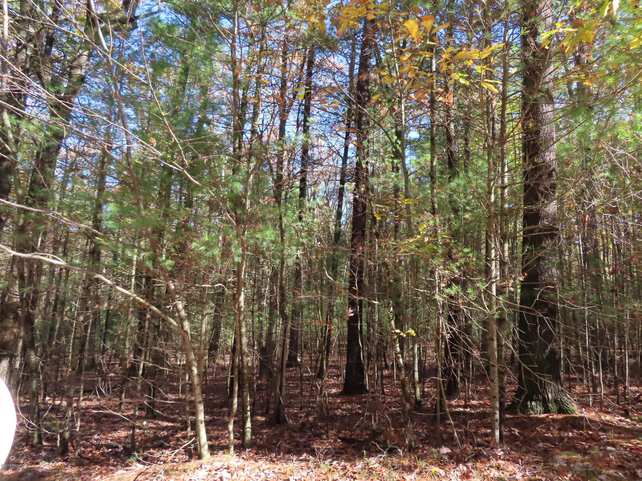 Lot 536 Timber Ridge Drive Hawley, PA 18428 - Photo 7 of 10