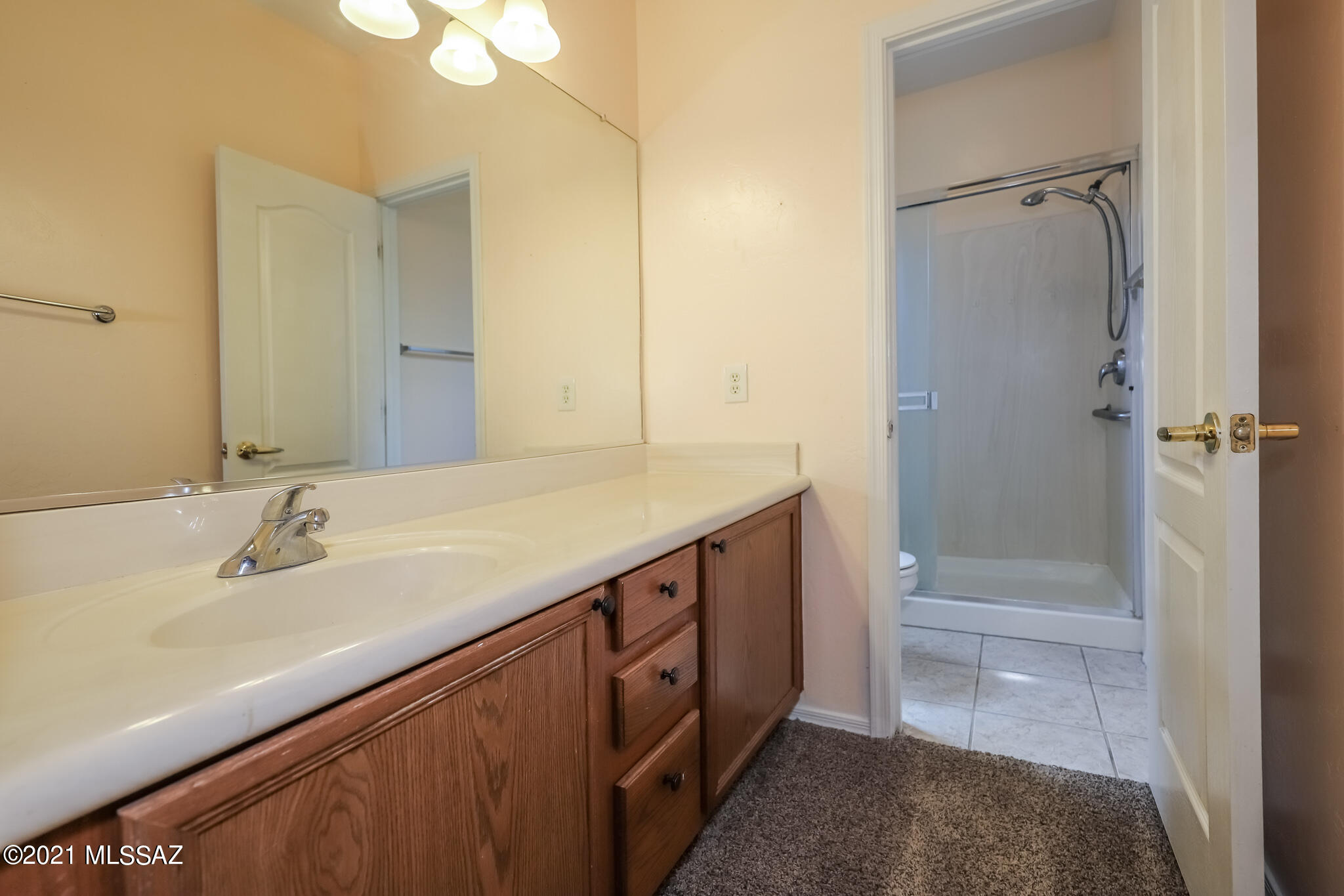 461 East Cactus Mountain Drive Vail, AZ 85641 - Photo 14 of 24