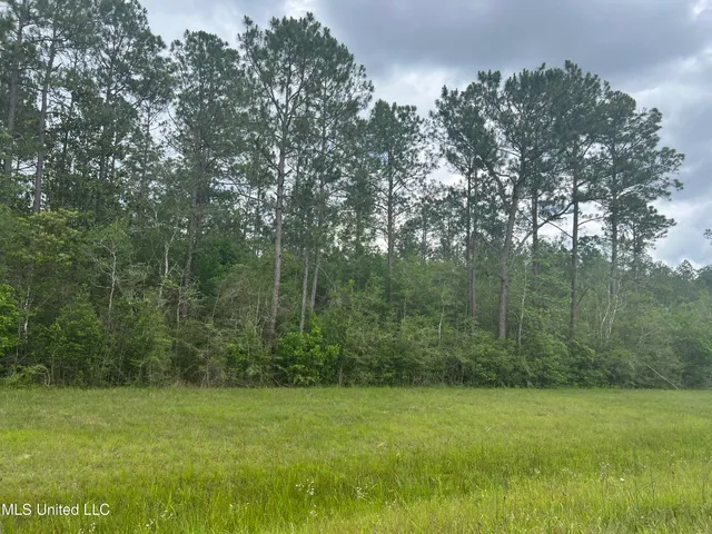 $895,000 | 63 Highway 63, Moss Point, MS 39562