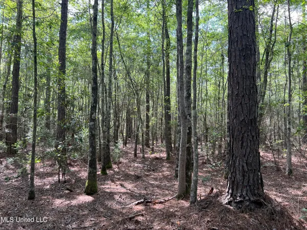 $895,000 | 63 Highway 63, Moss Point, MS 39562