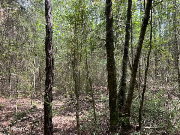 $895,000 | 63 Highway 63, Moss Point, MS 39562