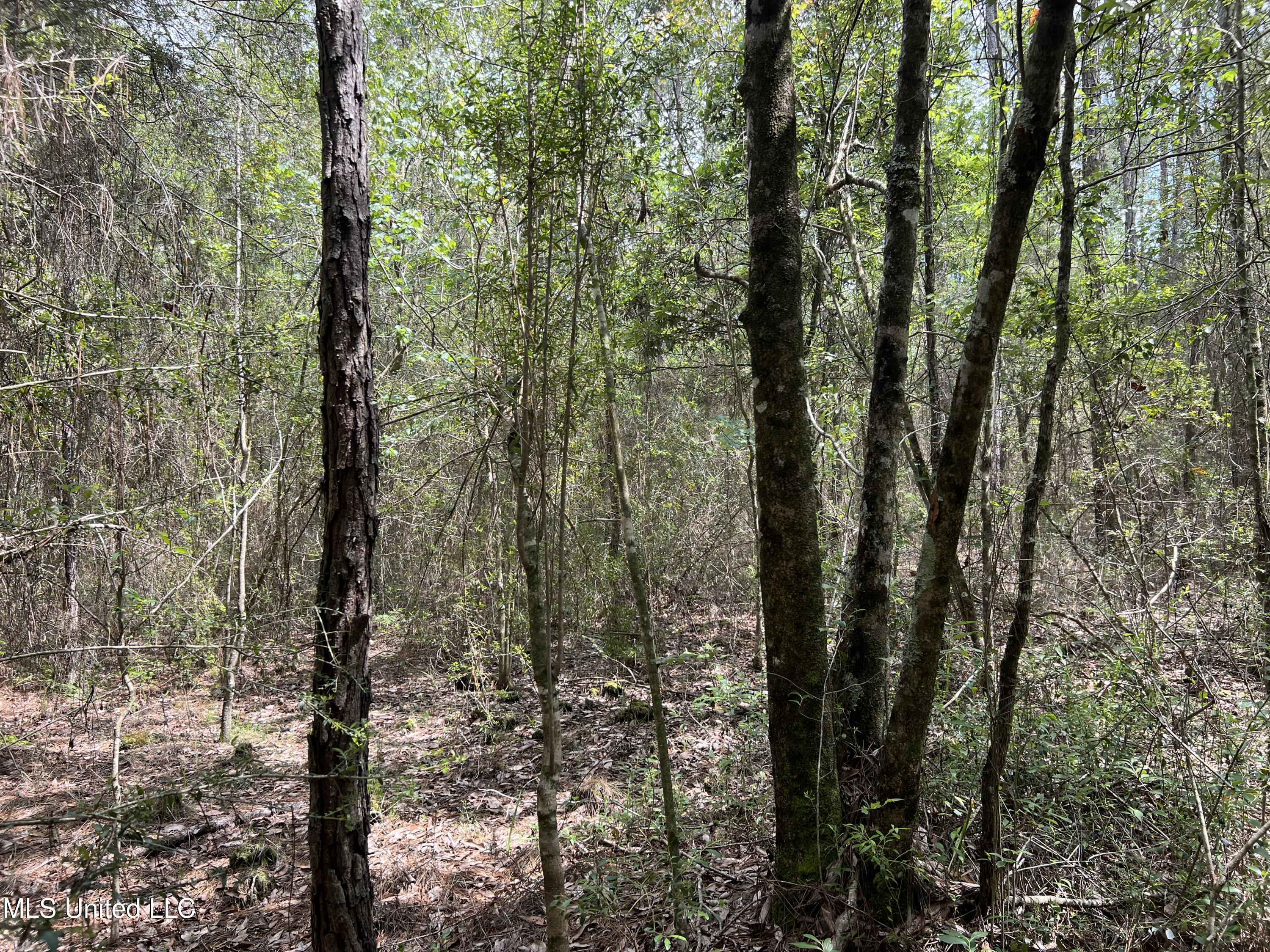 63 Highway 63 Moss Point, MS 39562 - Photo 6 of 12 IMG_3192