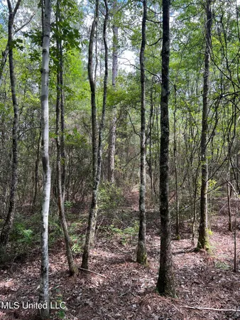 $895,000 | 63 Highway 63, Moss Point, MS 39562