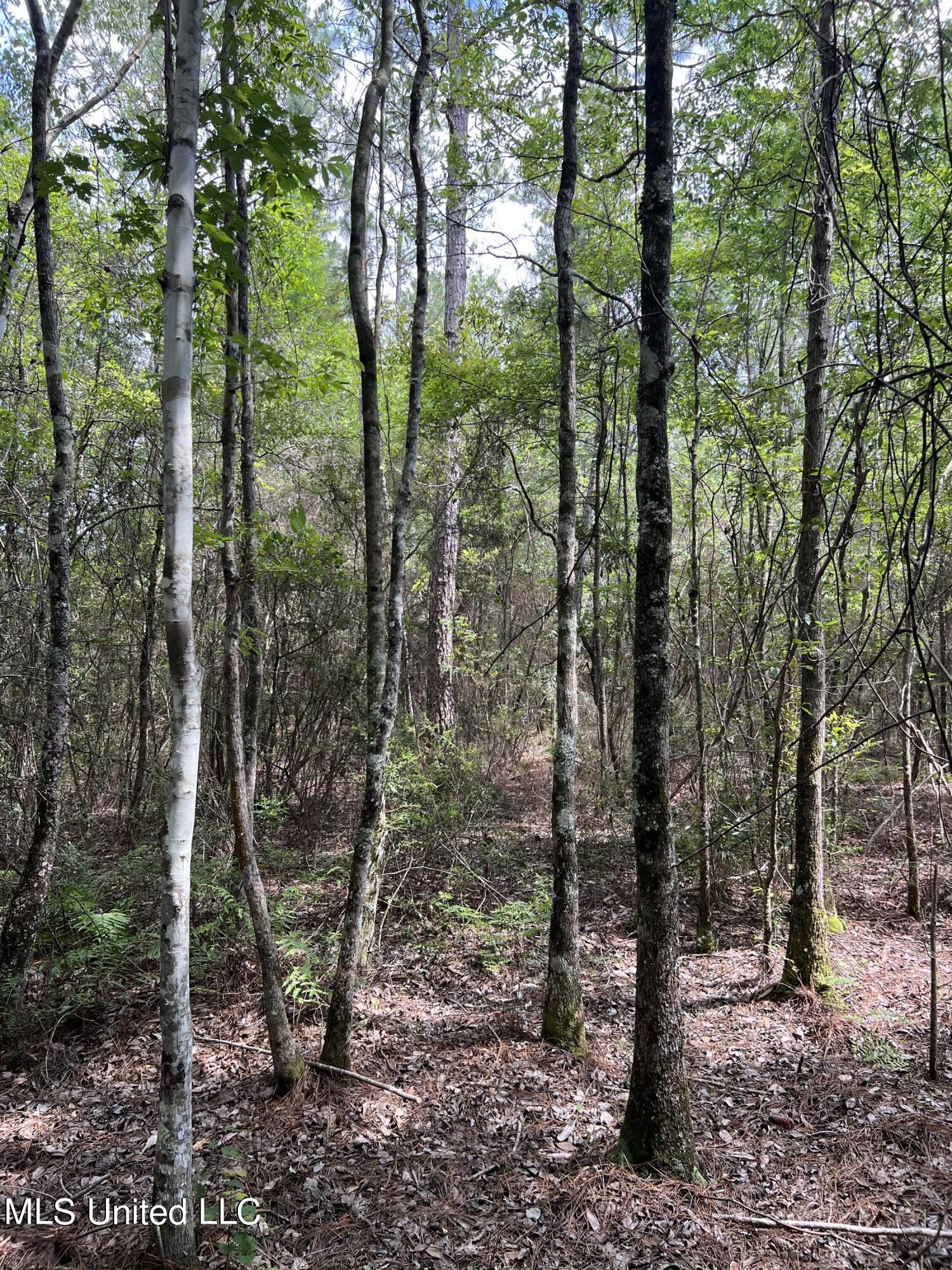 63 Highway 63 Moss Point, MS 39562 - Photo 7 of 12 IMG_3193