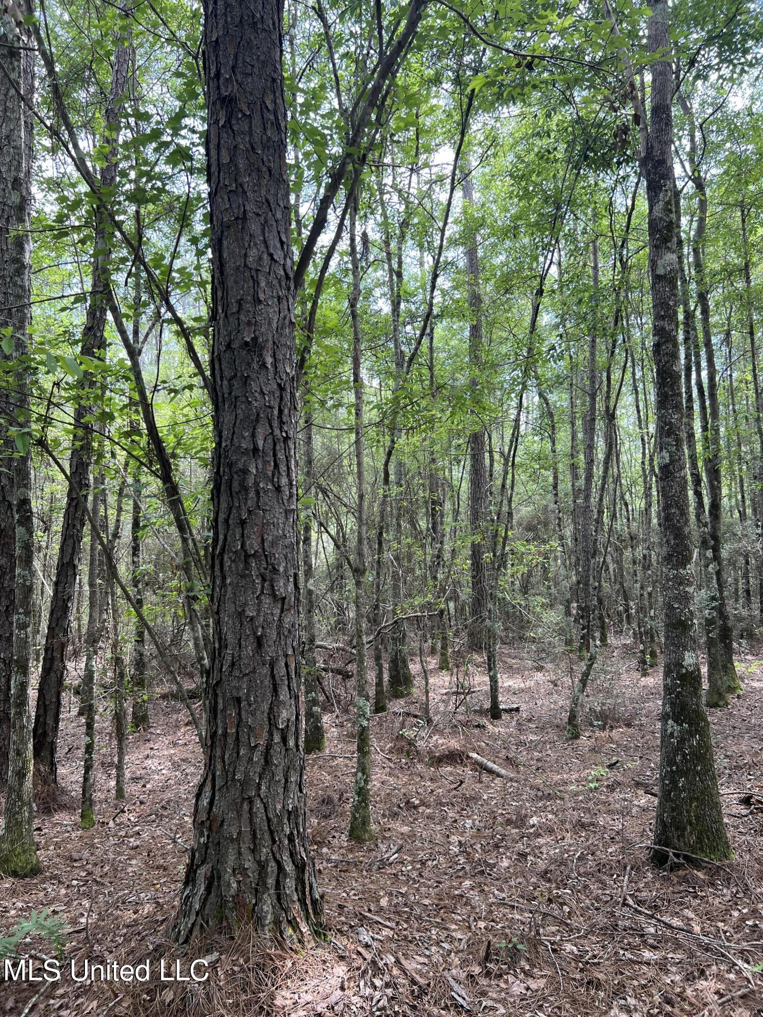 63 Highway 63 Moss Point, MS 39562 - Photo 8 of 12 IMG_3194