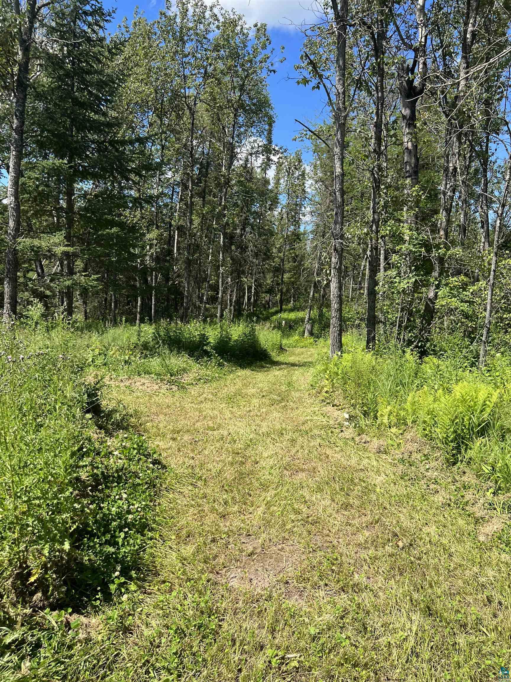 8901 Maxwell Road Mountain Iron, MN 55768 - Photo 5 of 8