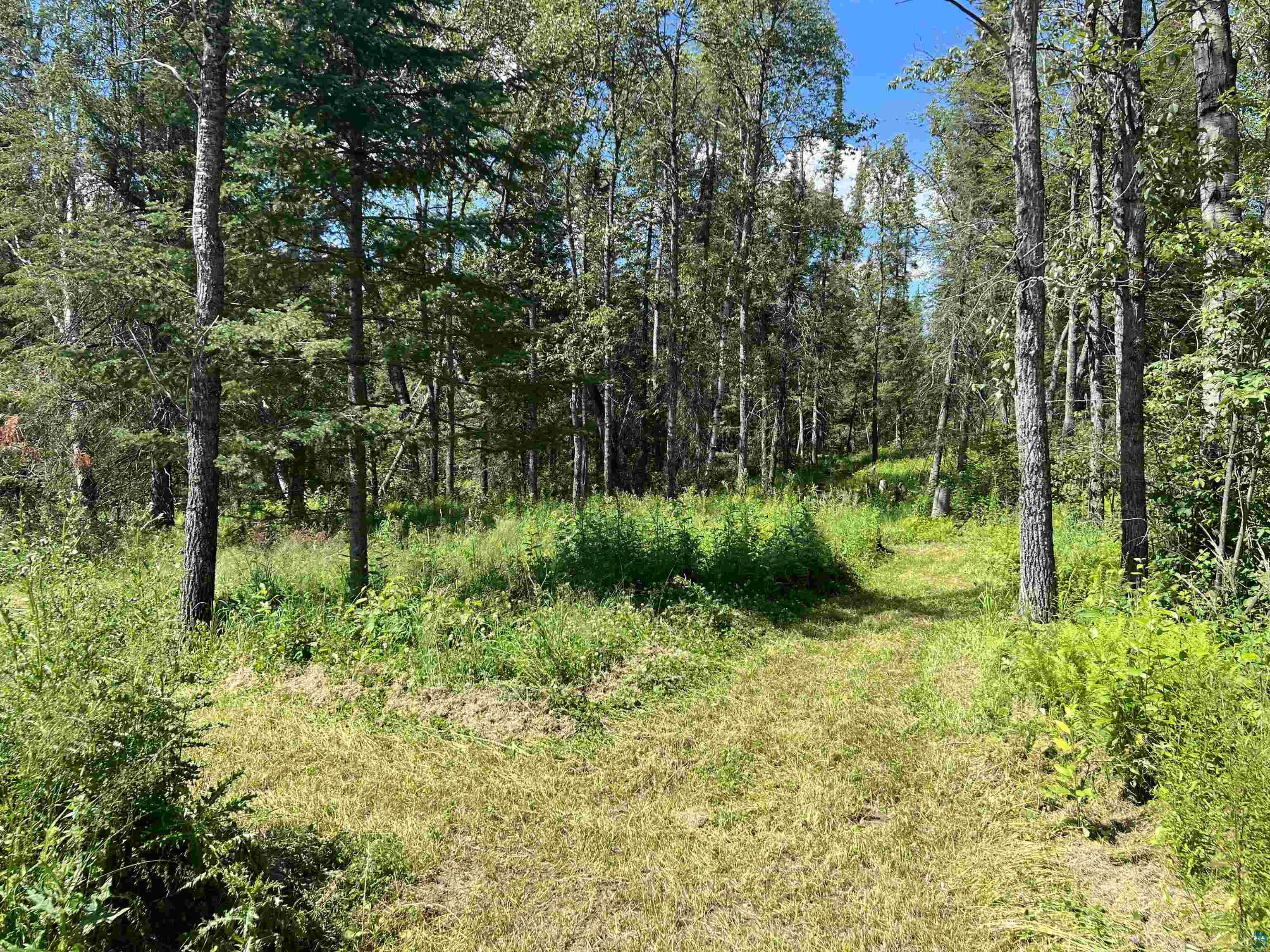 8901 Maxwell Road Mountain Iron, MN 55768 - Photo 6 of 8