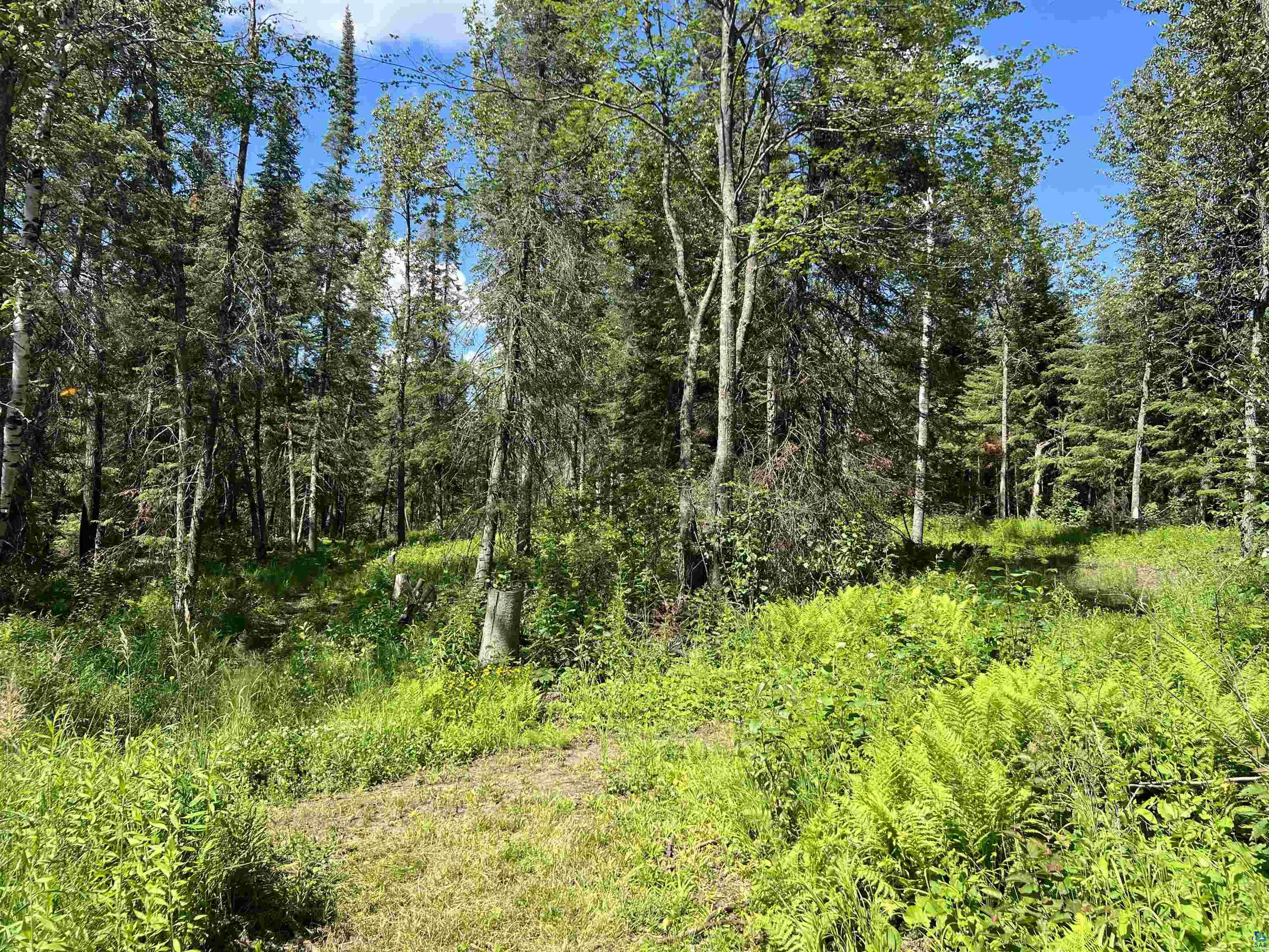 8901 Maxwell Road Mountain Iron, MN 55768 - Photo 7 of 8