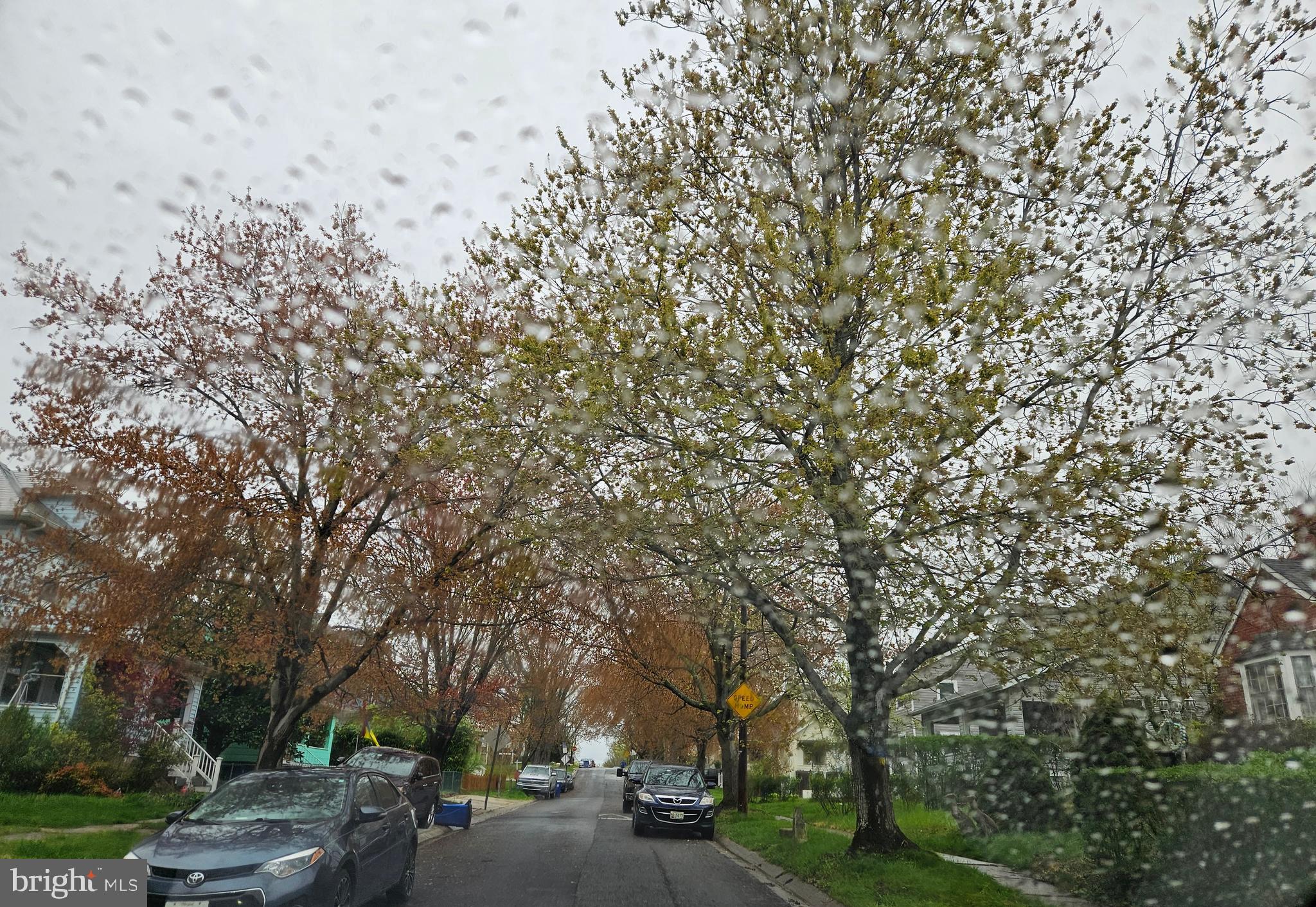 5320 Catalpha Road Baltimore, MD 21214 - Photo 3 of 63