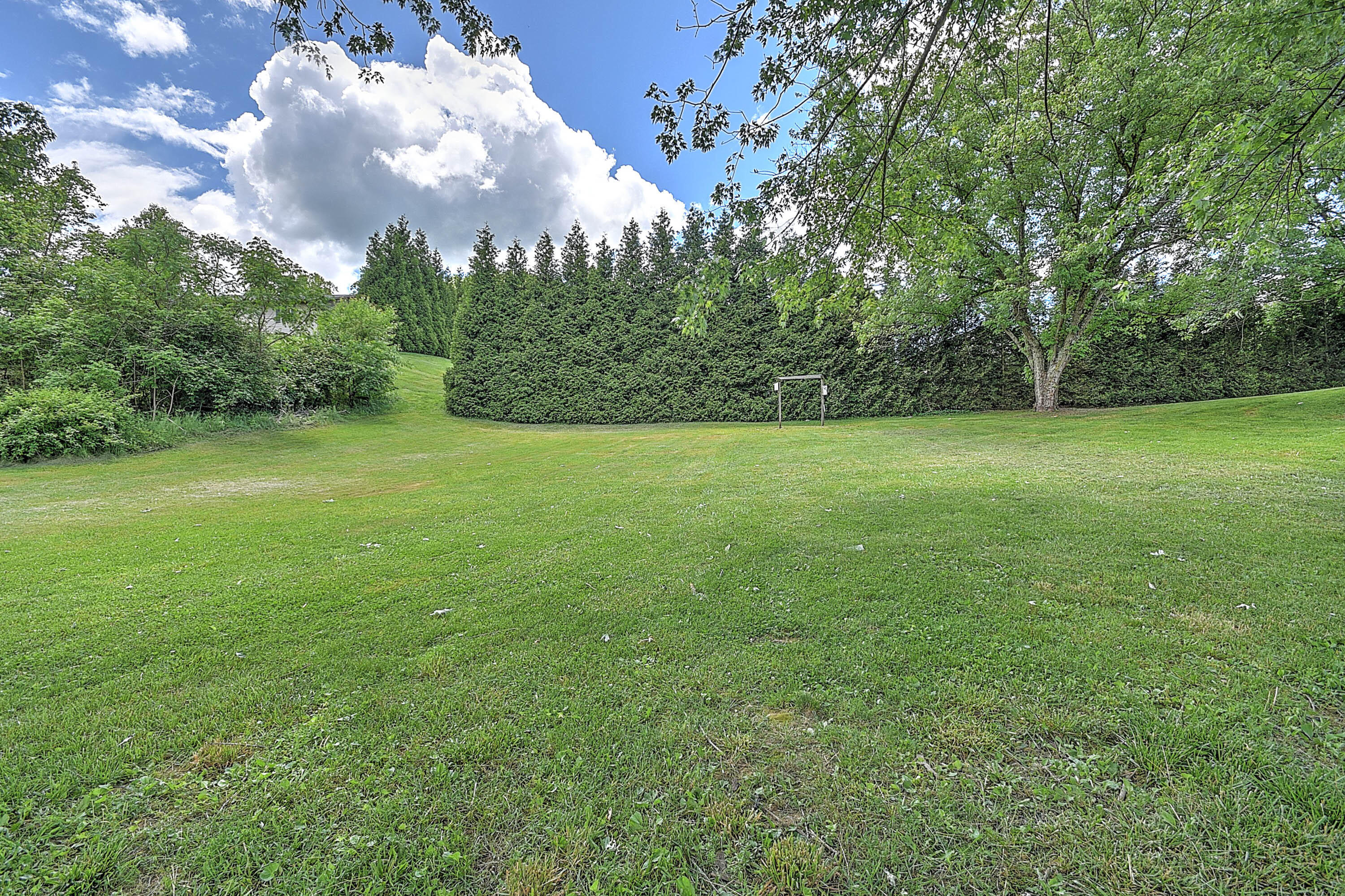 701 Meadow View Road Bristol, TN 37620 - Photo 66 of 68 MEADOWVIEW-66
