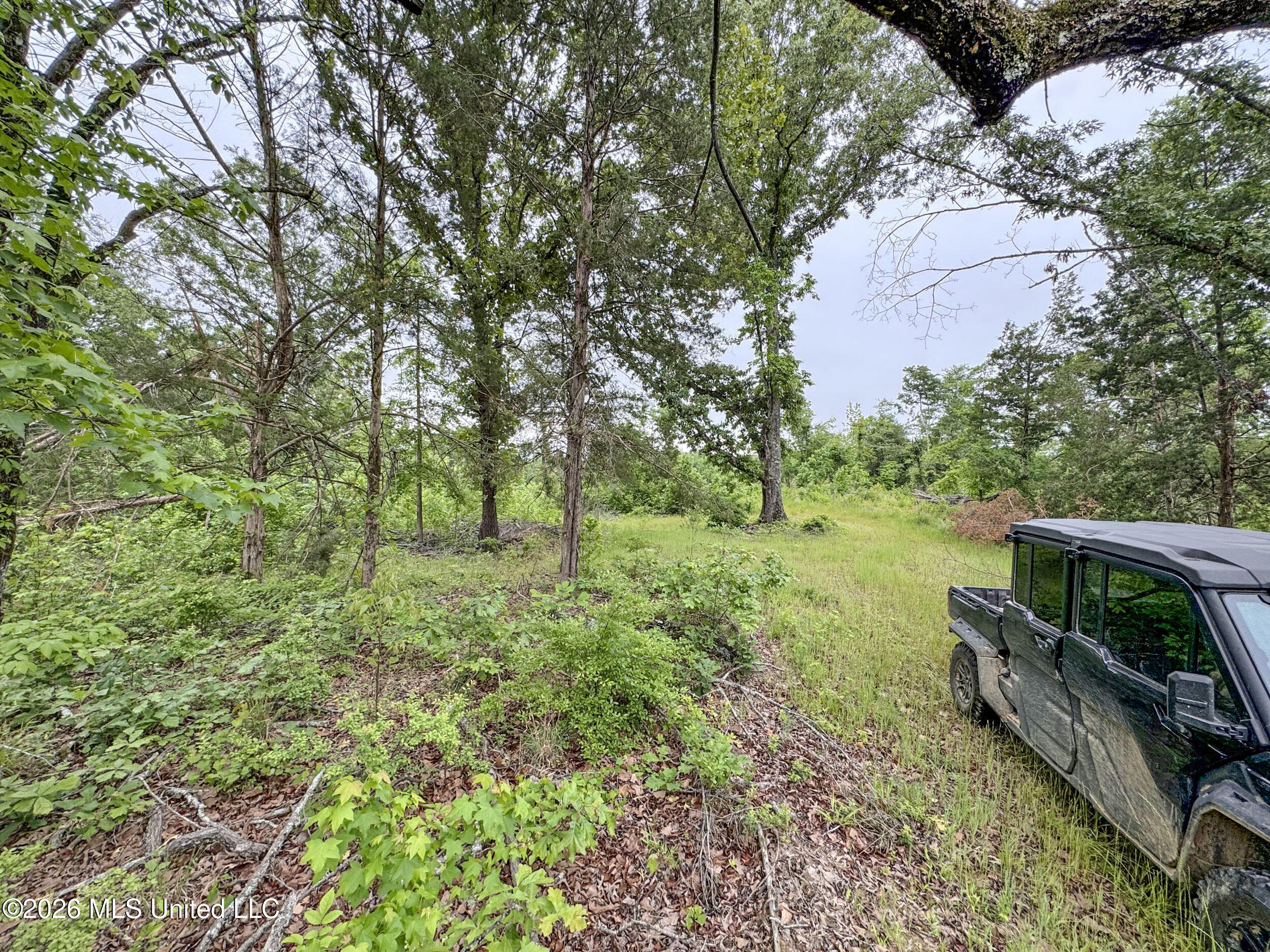 Wayne Massie Road Como, MS 38619 - Photo 96 of 184 5cdtbs27