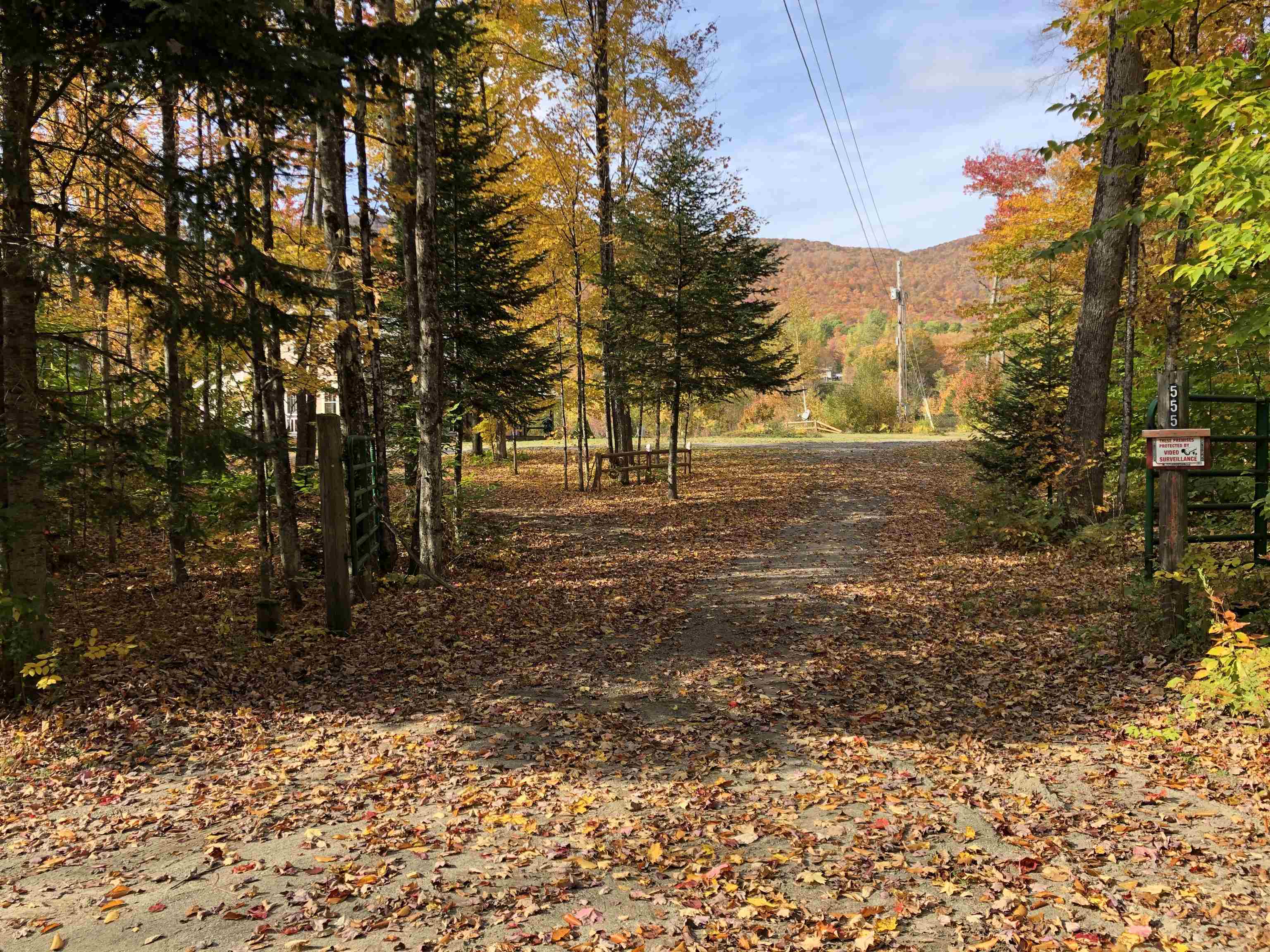 555 Bog Road Belvidere, VT 05442 - Photo 8 of 40 Gallery Image 8