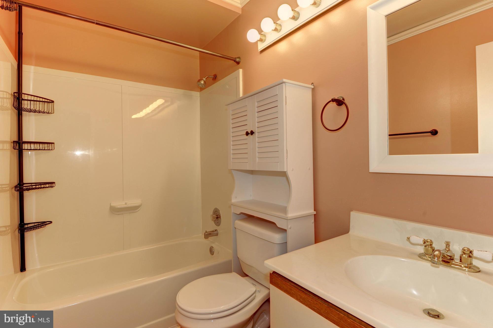 8548 Springfield Oaks Drive Springfield, VA 22153 - Photo 17 of 27 Bath