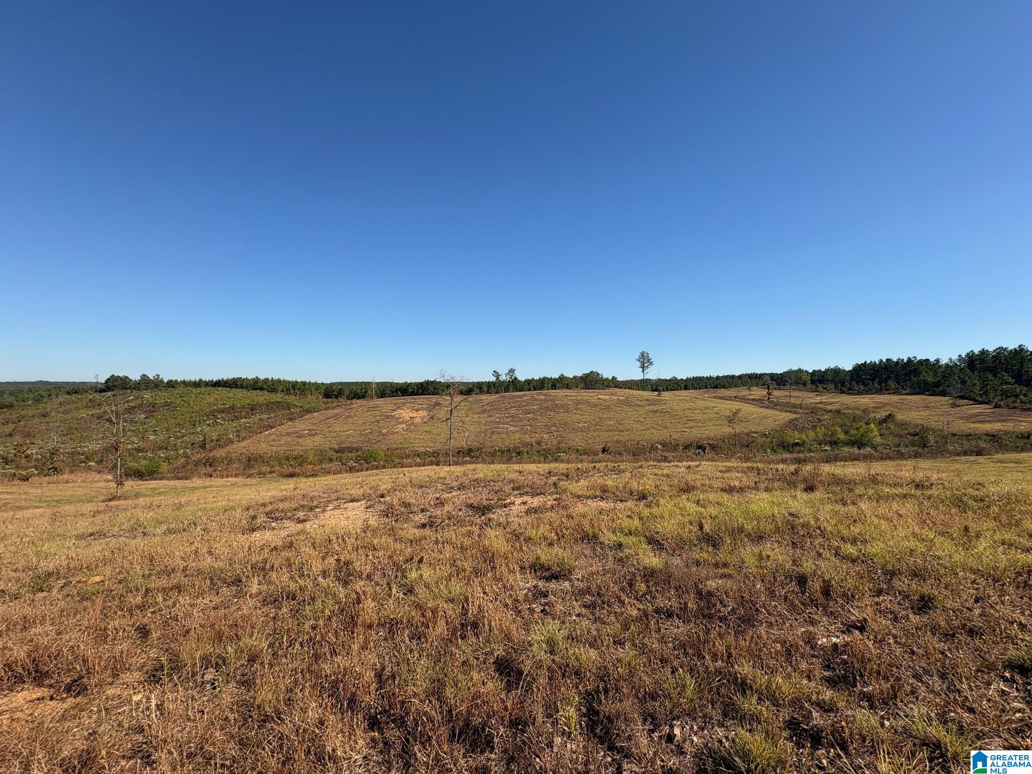 3679 Chelsea Road, Unit 2 Columbiana, AL 35051 - Photo 9 of 13