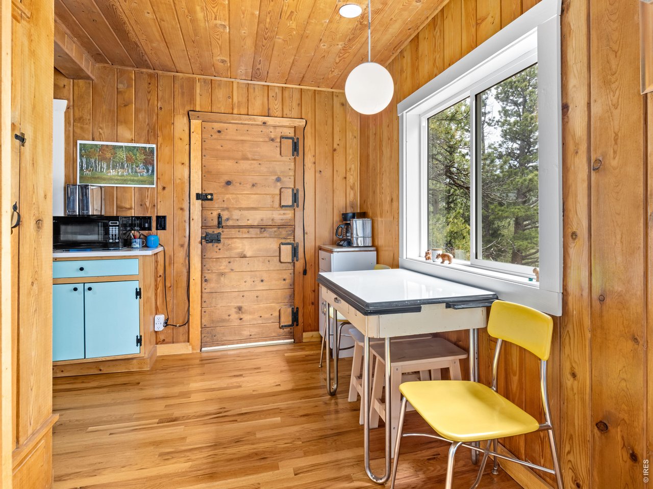 270 Ski Road East Allenspark, CO 80510 - Photo 10 of 30