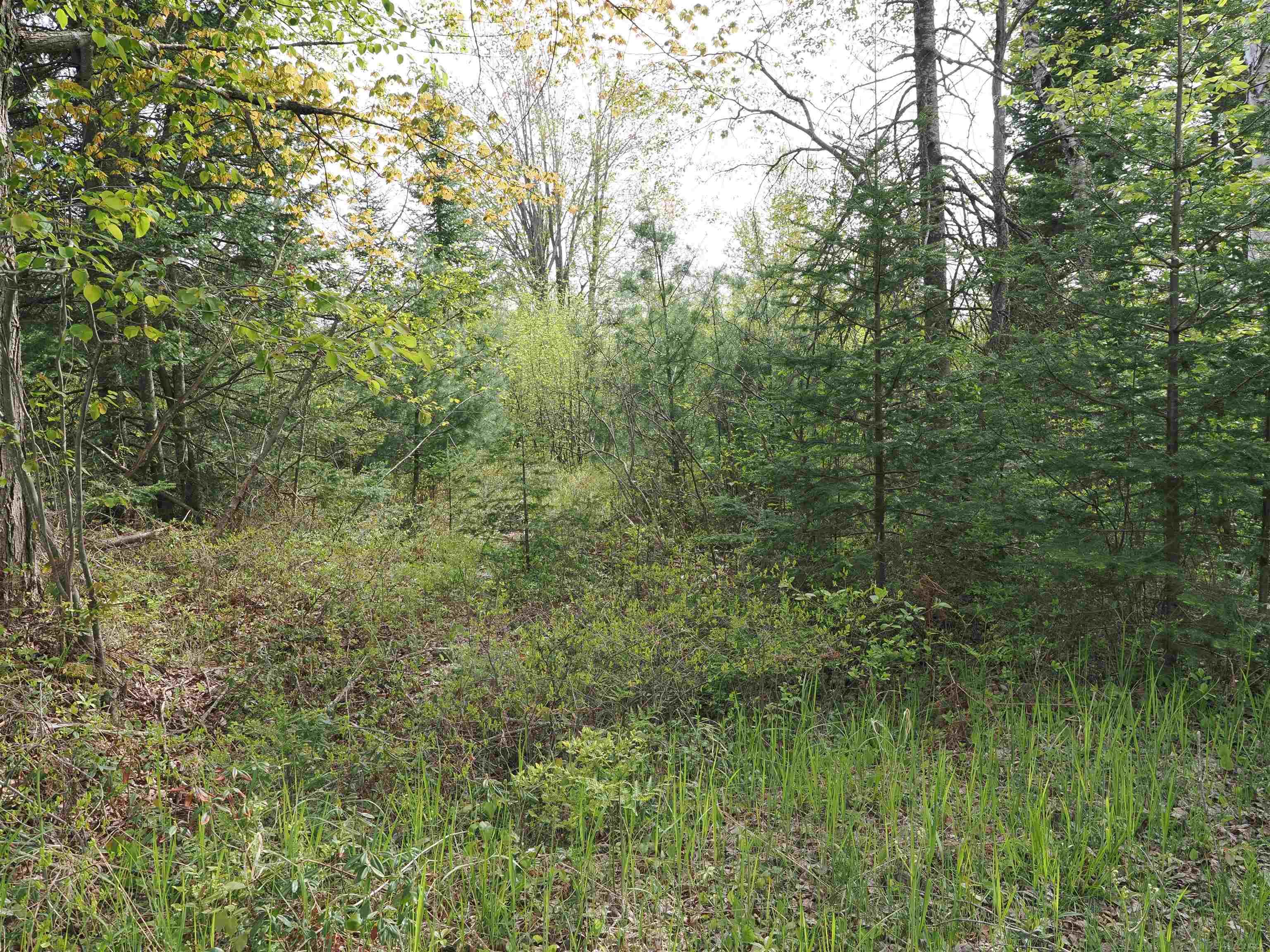 4011 Sandall Road Alpena, MI 49707 - Photo 49 of 73