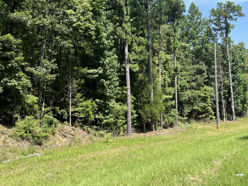 0 Davidson Road West Point, GA 31833 - Photo 1 of 11 Main View