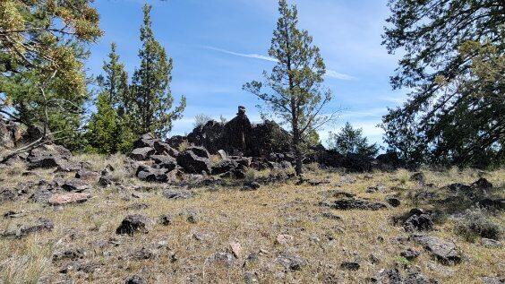 1315 Lofton Creek Road Prineville, OR 97754 - Photo 13 of 61 image000006 (1)