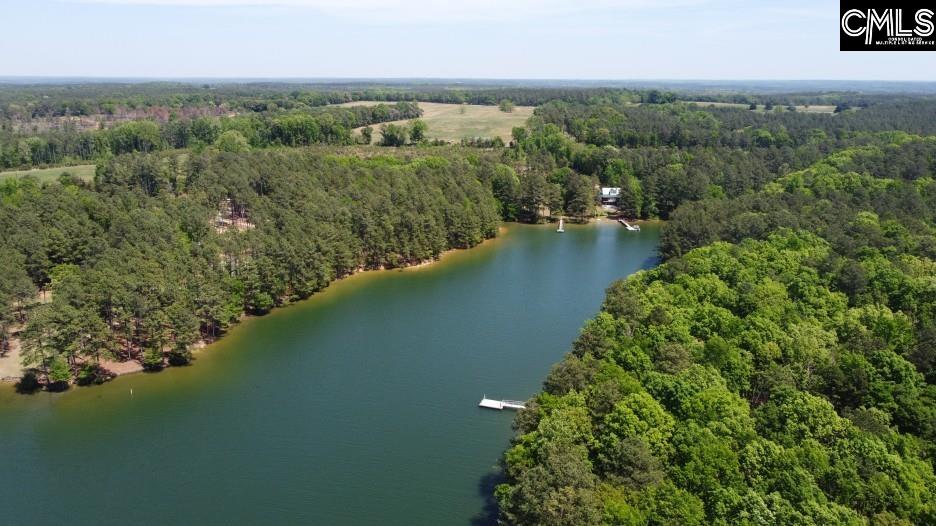 201 State Rd S-20-99 Blair, SC 29015 - Photo 45 of 61
