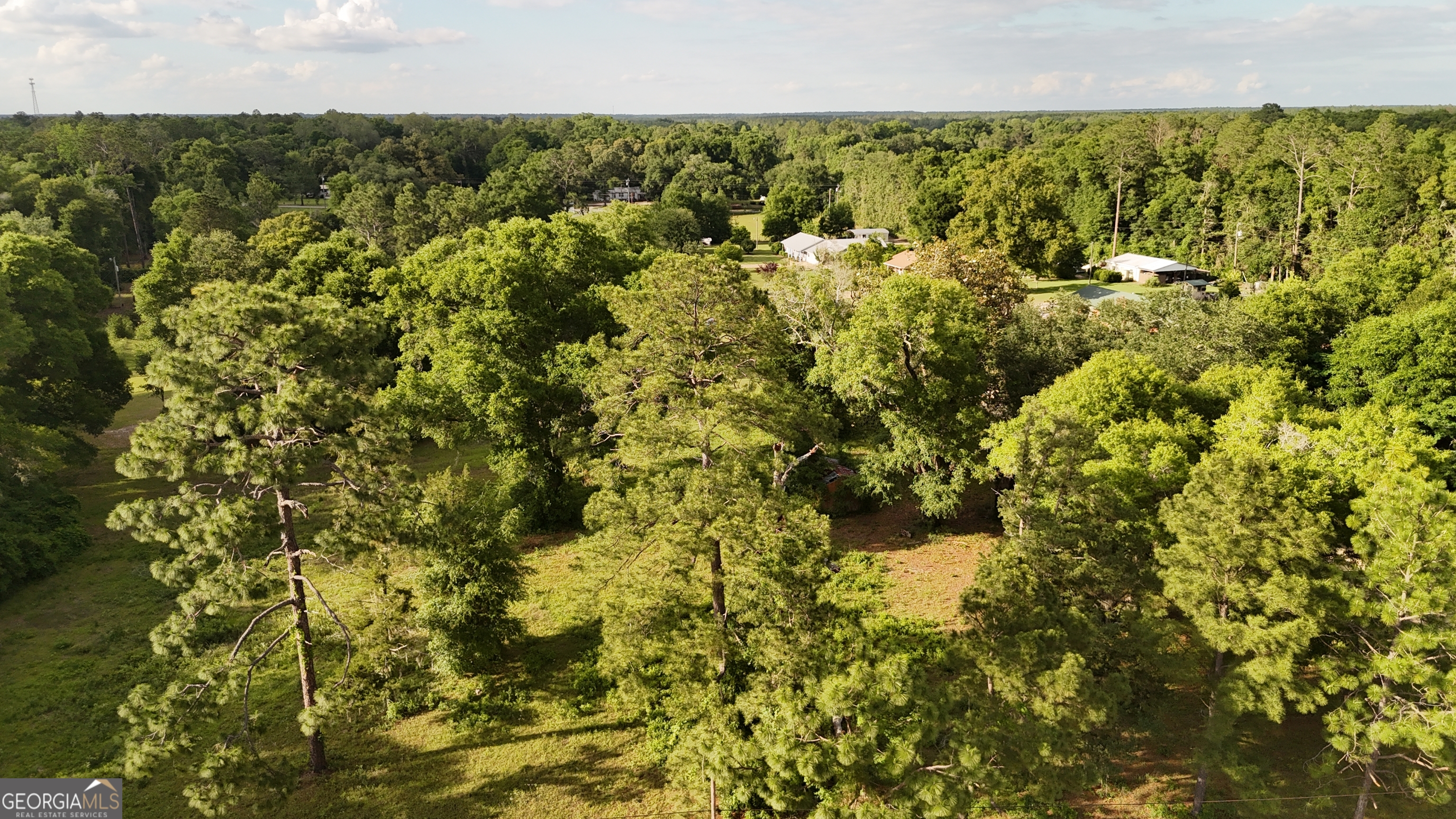 92-acre Butler Street Bainbridge, GA 39817 - Photo 8 of 13