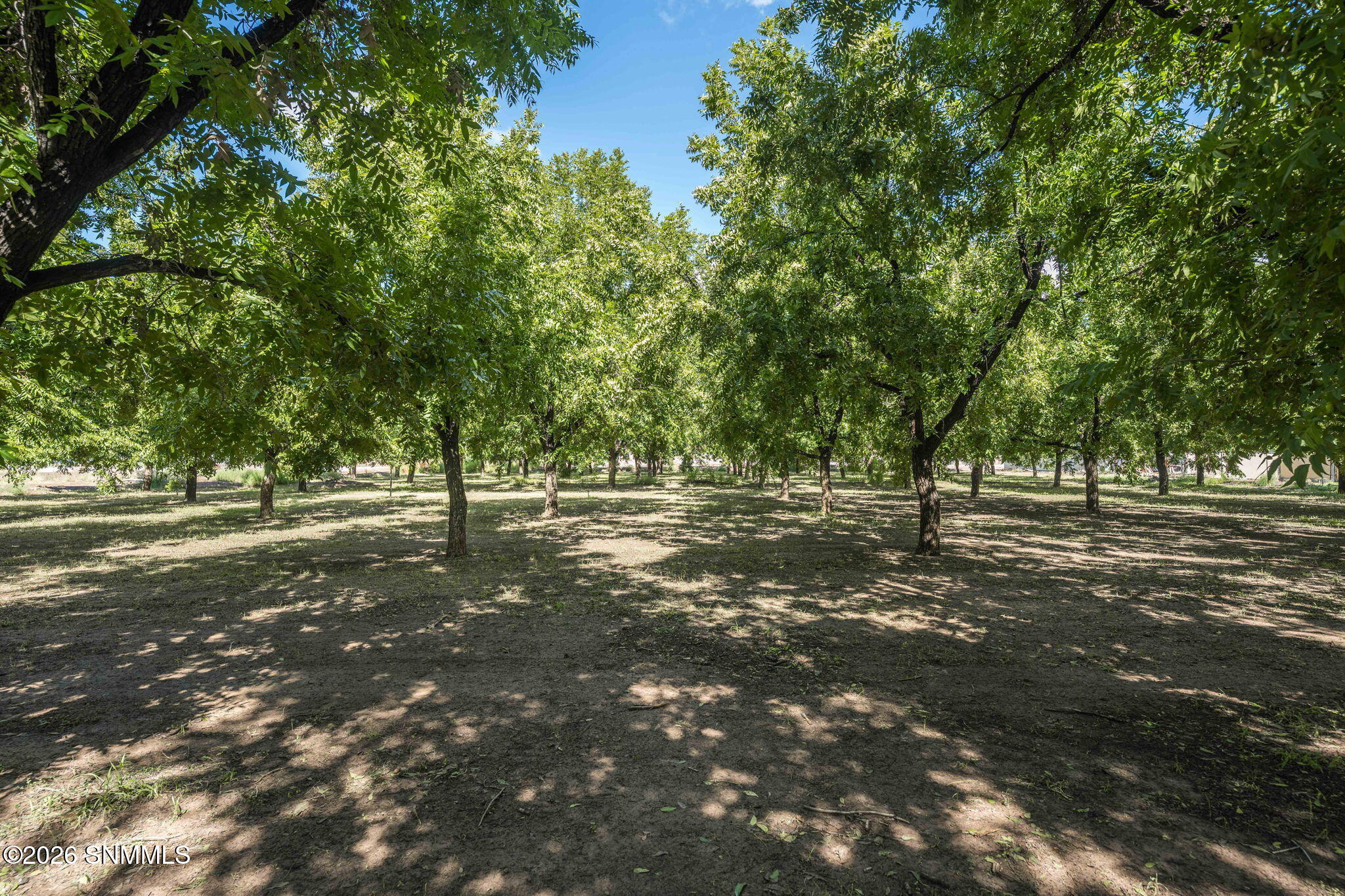 4843 Grider Road Las Cruces, NM 88007 - Photo 69 of 72 18-web-or-mls-Snappin Homes (Grider4843)