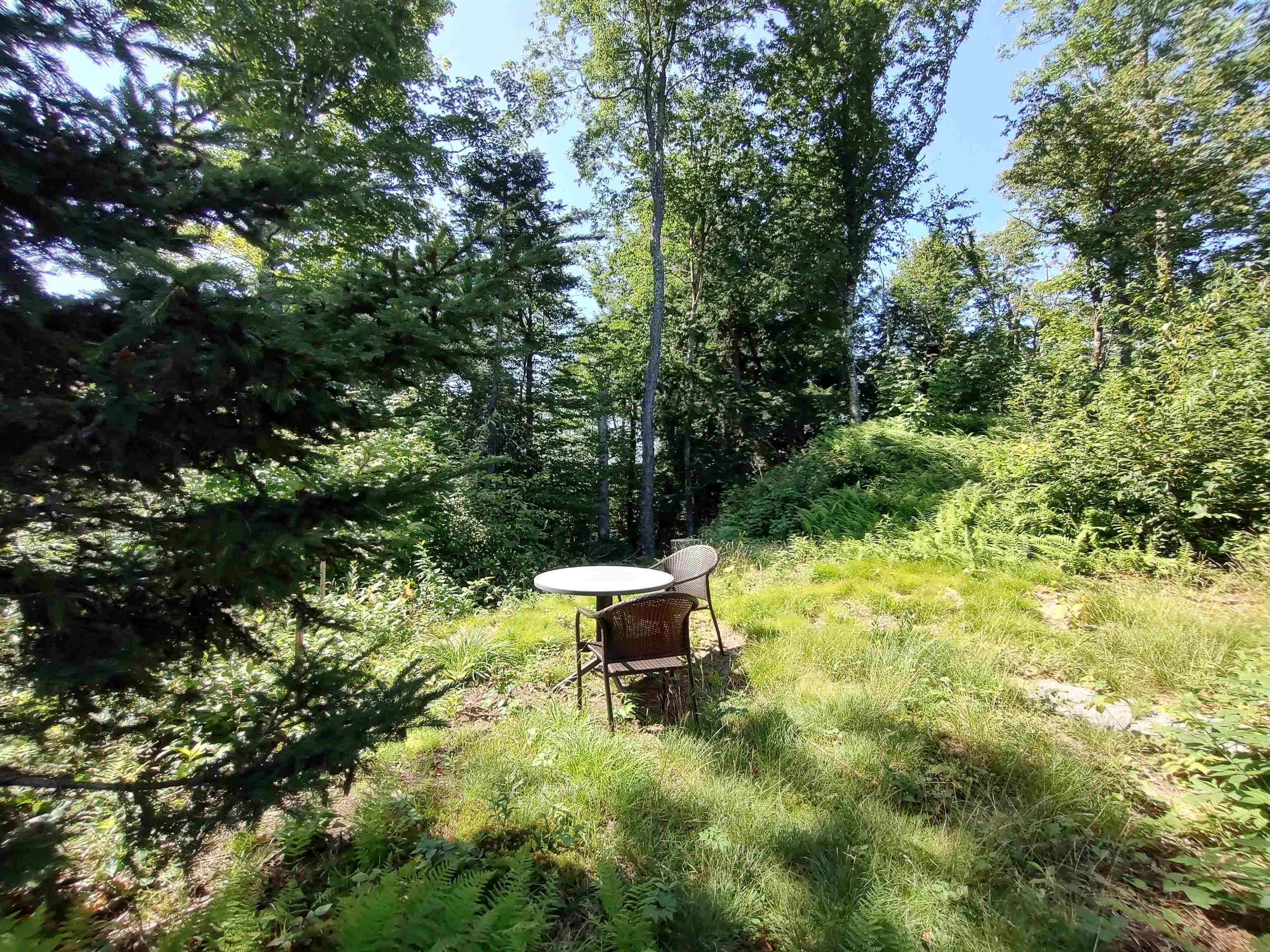 2501 Chelsea Mtn Road Randolph, VT 05061 - Photo 28 of 41 Gallery Image 28