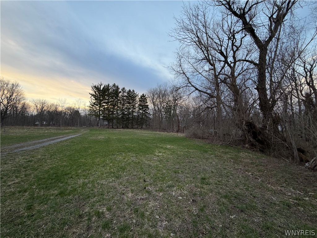 4880 Ransom Road Clarence, NY 14031 - Photo 6 of 15