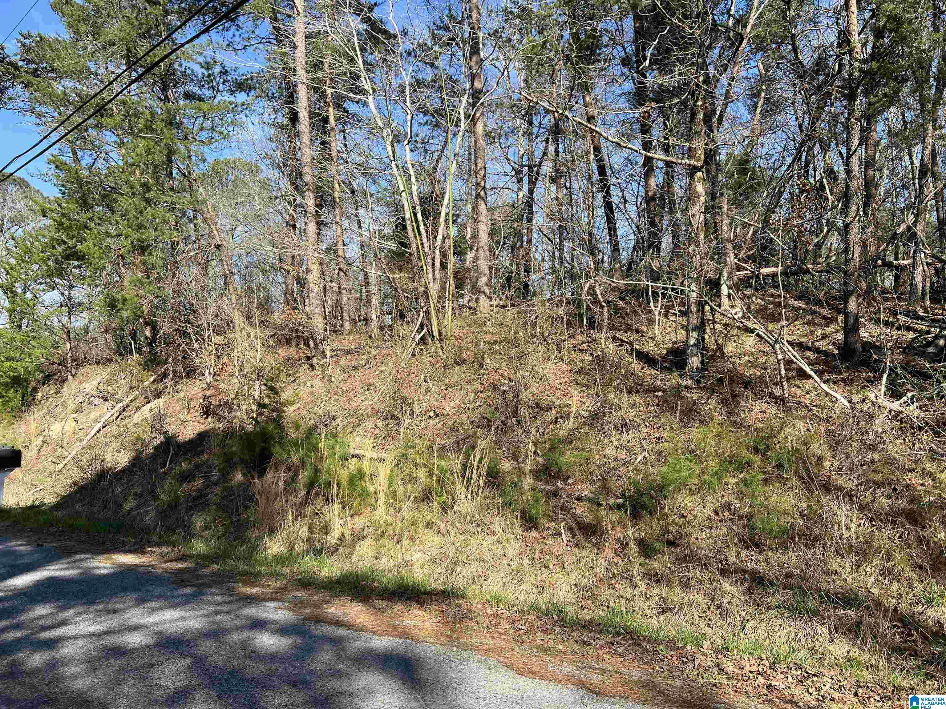 0 Lakeshore Lane, Unit 4 Oneonta, AL 35121 - Photo 27 of 49