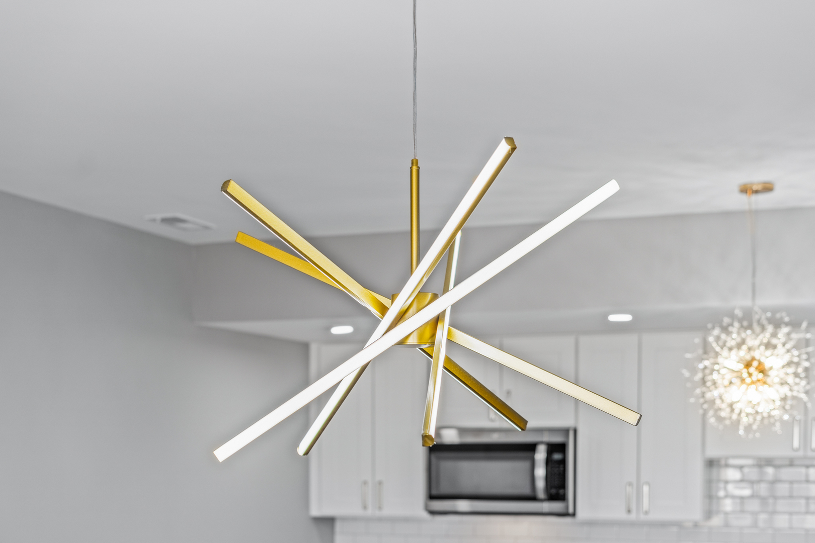 1316 8th Street, Unit 1316 Harvard, IL 60033 - Photo 6 of 19