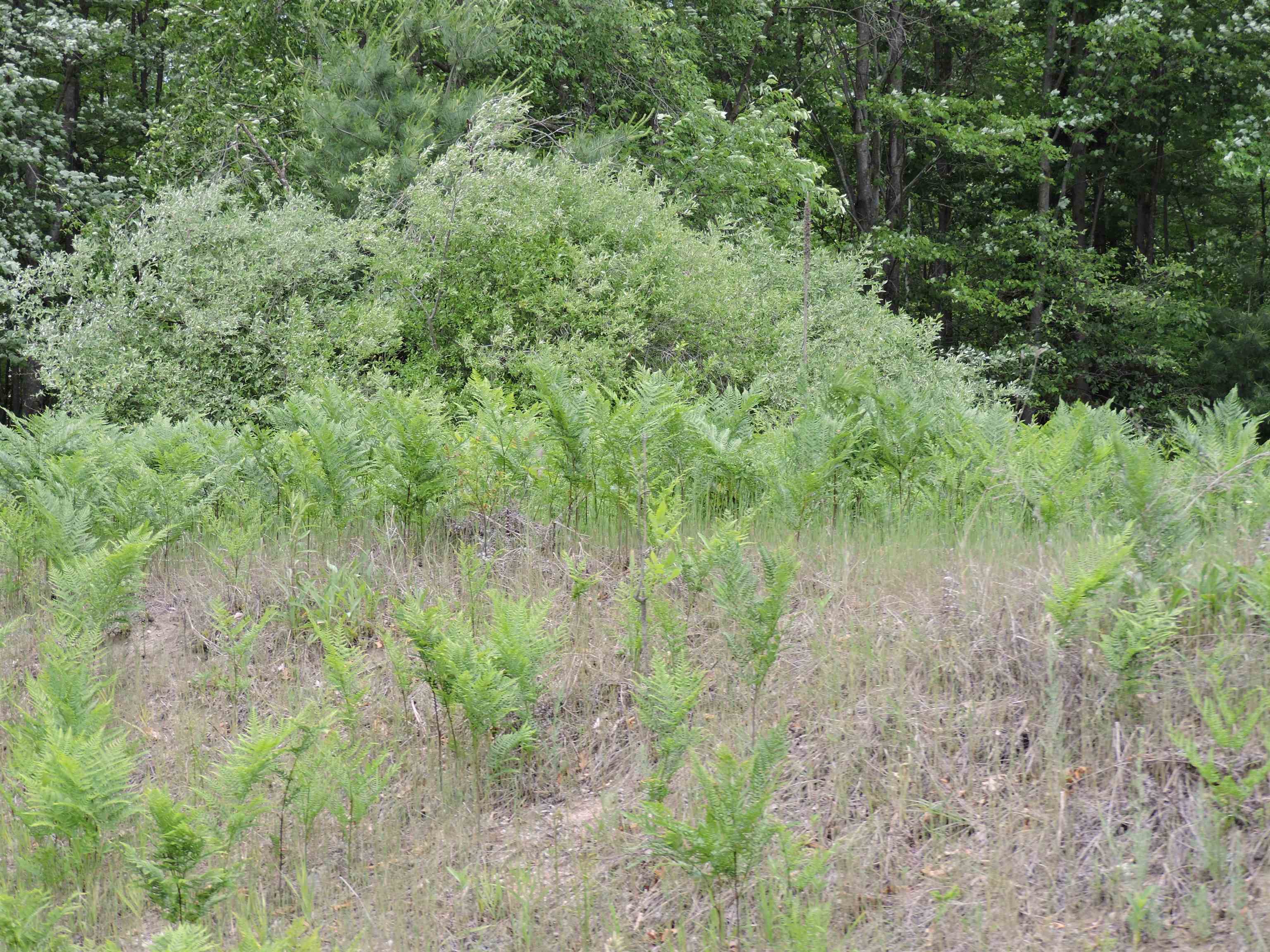 6686 Keystone Road Turner, MI 48765 - Photo 24 of 30