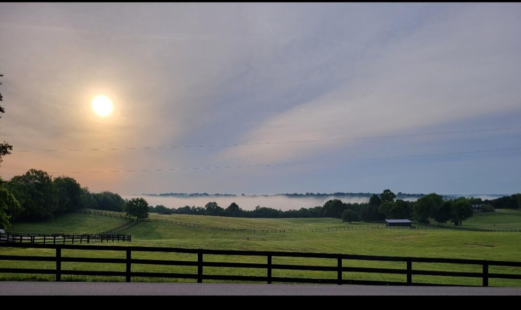 2640 Fords Mill Road, Unit C Versailles, KY 40383 - Photo 9 of 17 C89CA9D9-DF6C-4EDC-ABC1-5863C9828E25