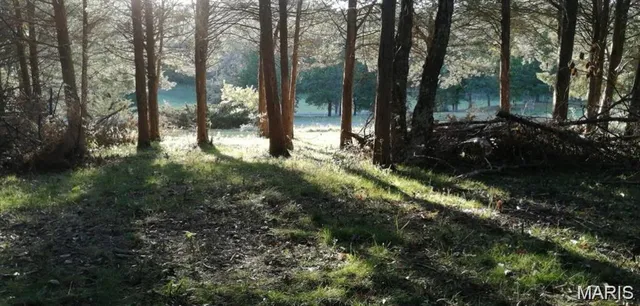 $198,000 | 900 Silver Fox Drive, Wright City, MO 63390