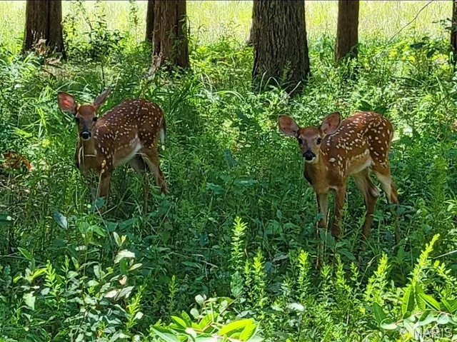 $198,000 | 900 Silver Fox Drive, Wright City, MO 63390