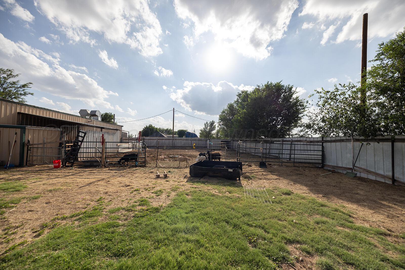 11904 Double D Road Amarillo, TX 79118 - Photo 26 of 35 AE7A8696